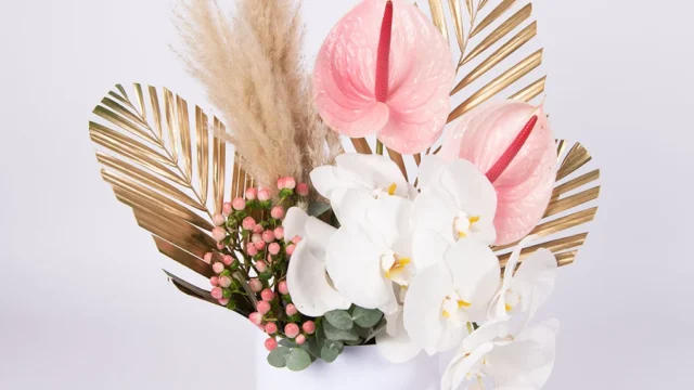 bloobbox listing image